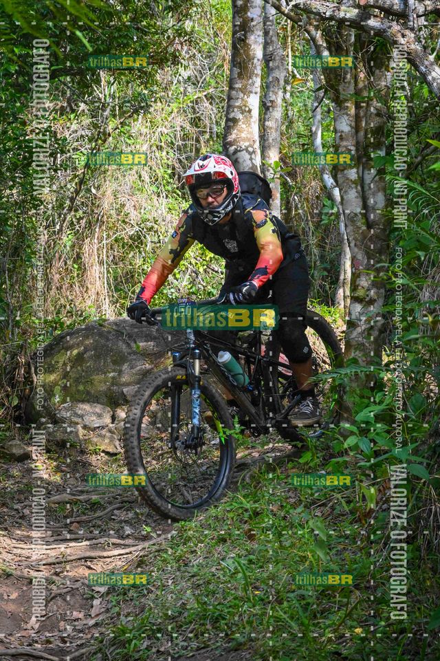 AMP_1389