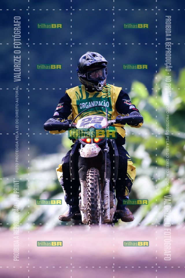 Sem tiÌtulo-409431