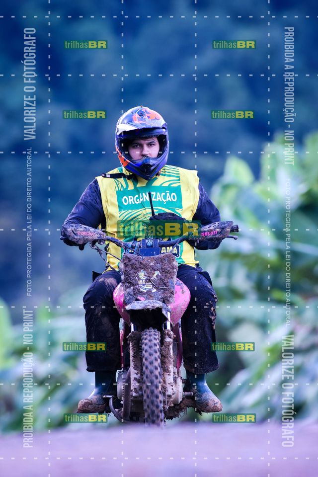 Sem tiÌtulo-409444