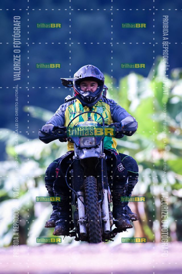 Sem tiÌtulo-409451