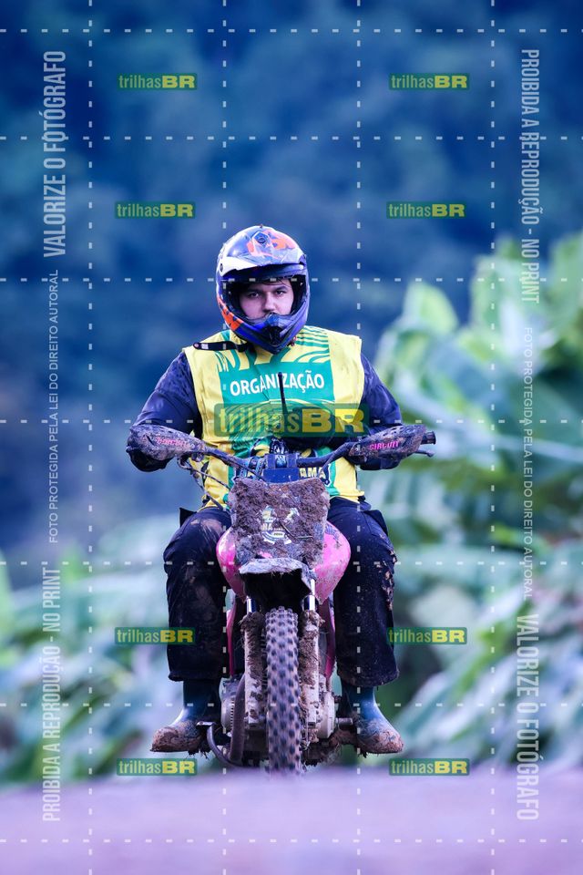 Sem tiÌtulo-409442