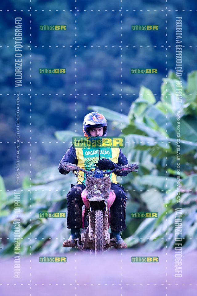 Sem tiÌtulo-409436