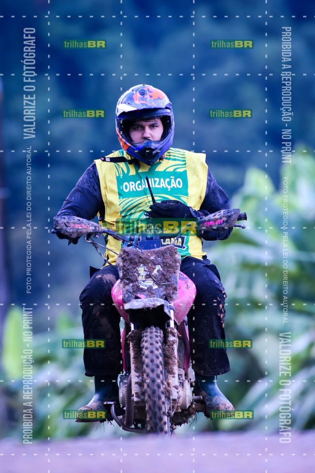 Sem tiÌtulo-409445