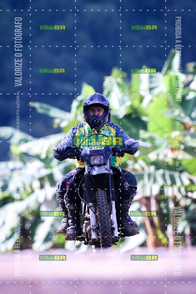 Sem tiÌtulo-409449