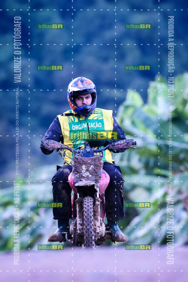 Sem tiÌtulo-409441