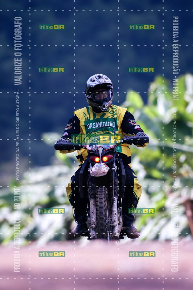 Sem tiÌtulo-409429