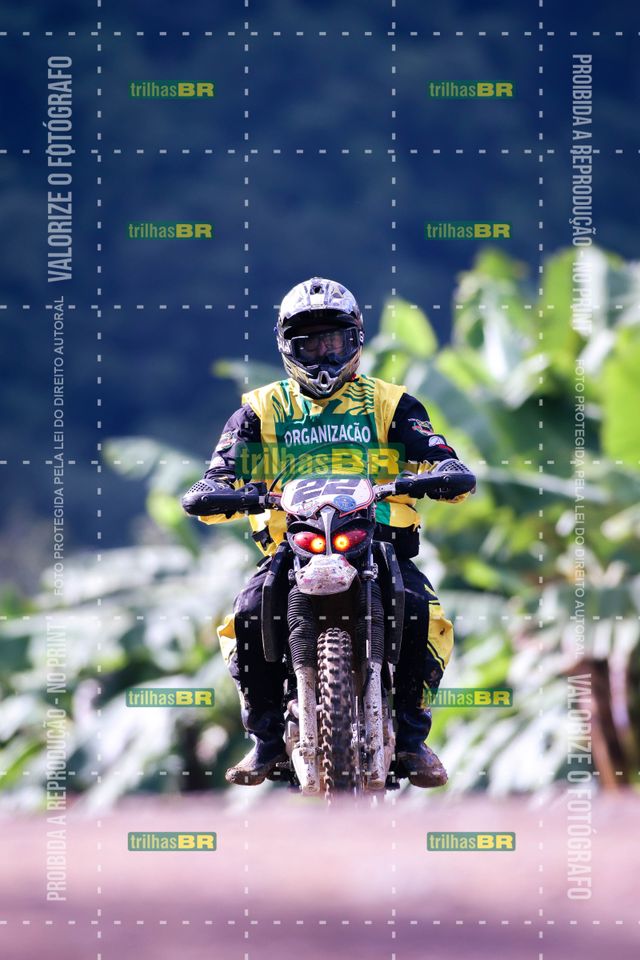 Sem tiÌtulo-409427