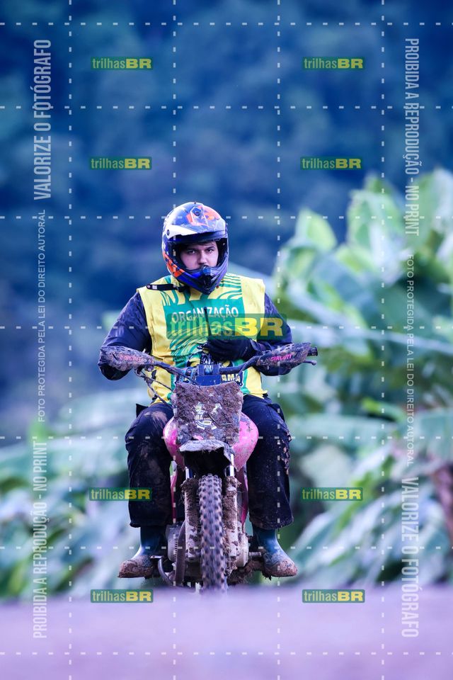 Sem tiÌtulo-409439