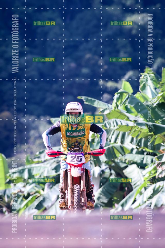 Sem tiÌtulo-409454