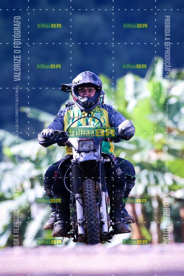 Sem tiÌtulo-409450