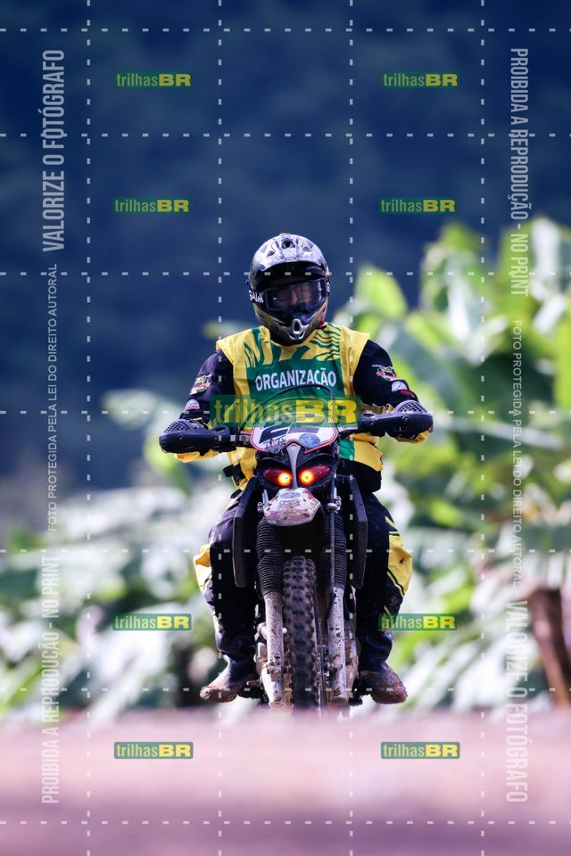 Sem tiÌtulo-409428