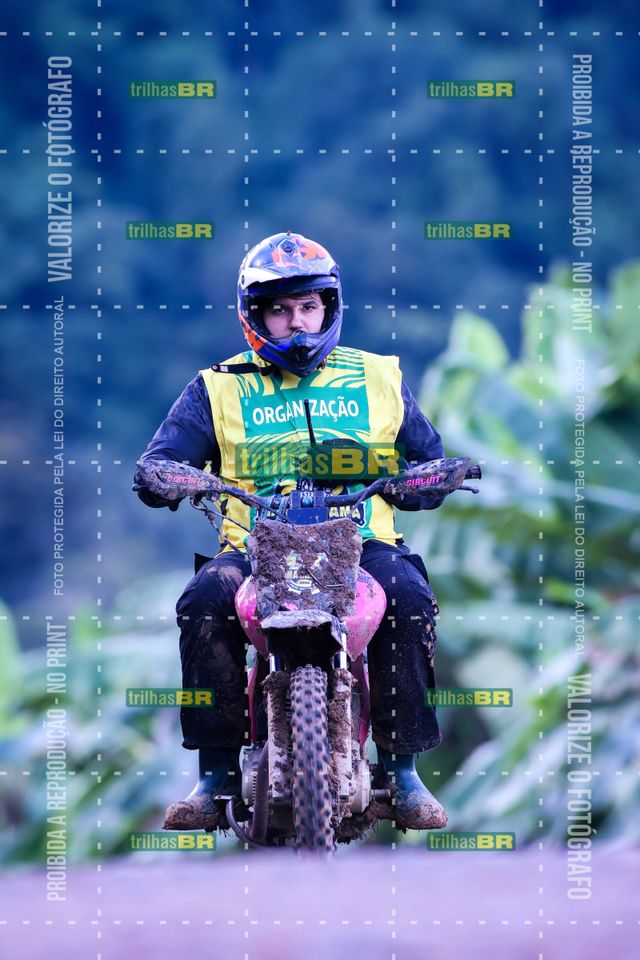 Sem tiÌtulo-409443