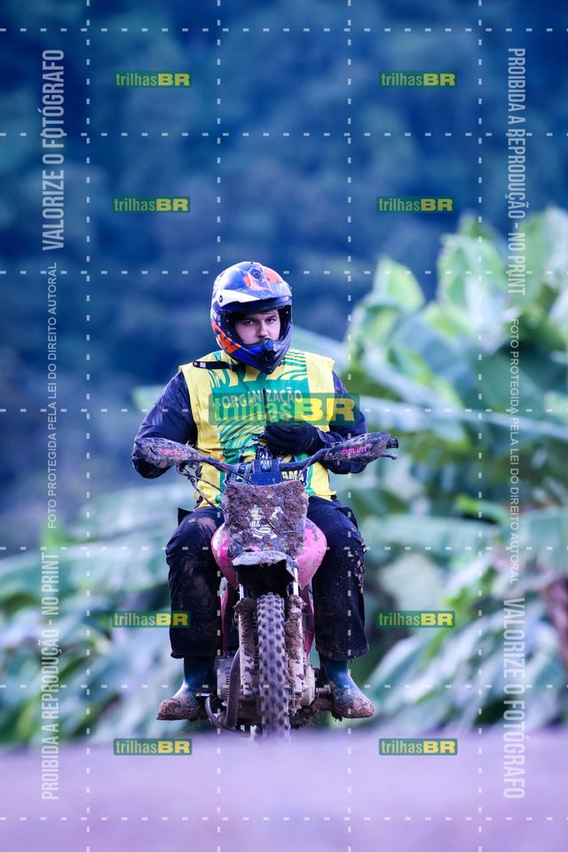 Sem tiÌtulo-409438