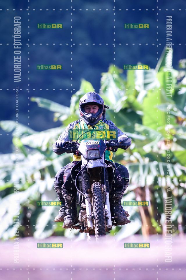 Sem tiÌtulo-409448