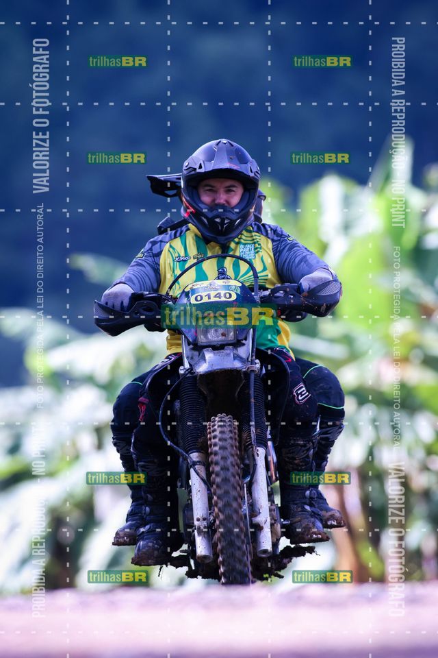 Sem tiÌtulo-409452