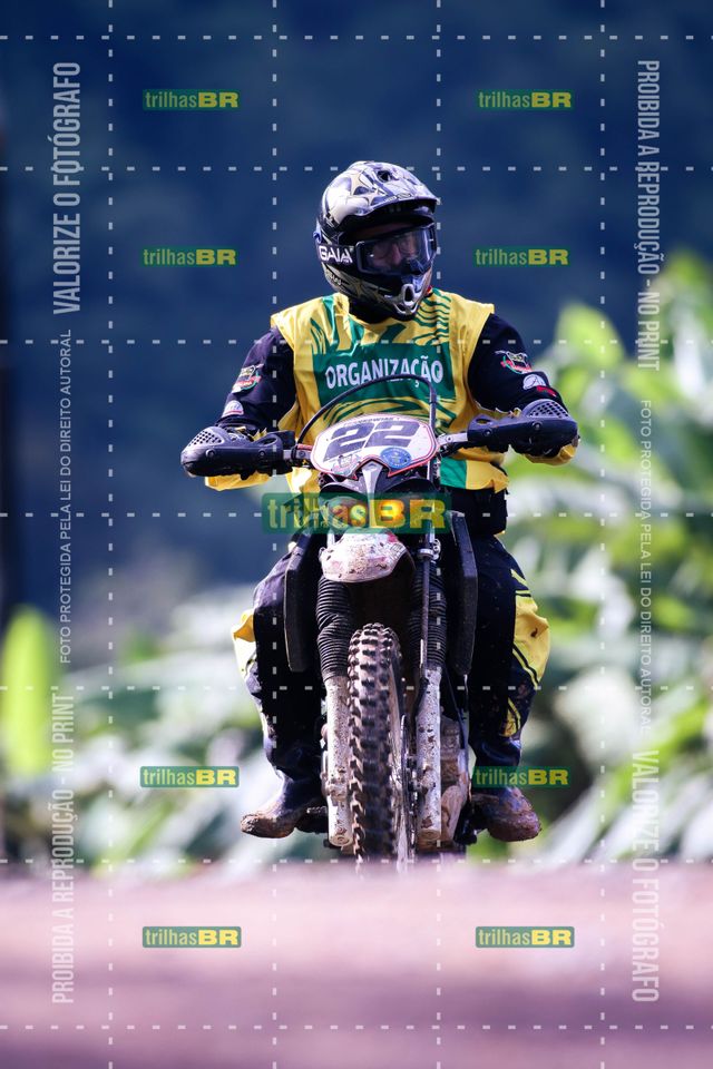 Sem tiÌtulo-409432