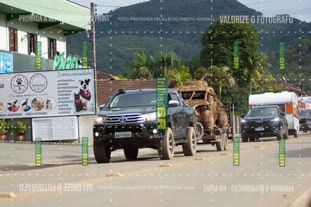 DSC_0376 (2)