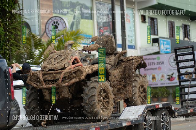 DSC_0667 (2)