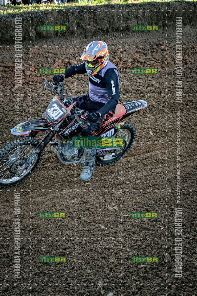 2z502_DSC0002