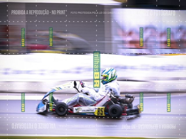 _MG_4146