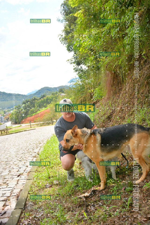 MAX_9287