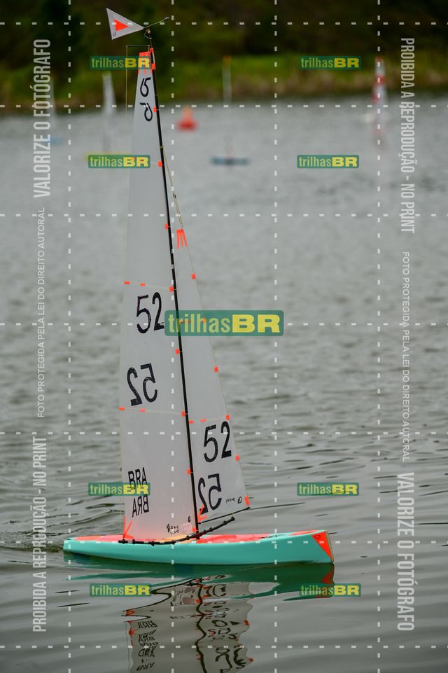 Z6X_6569