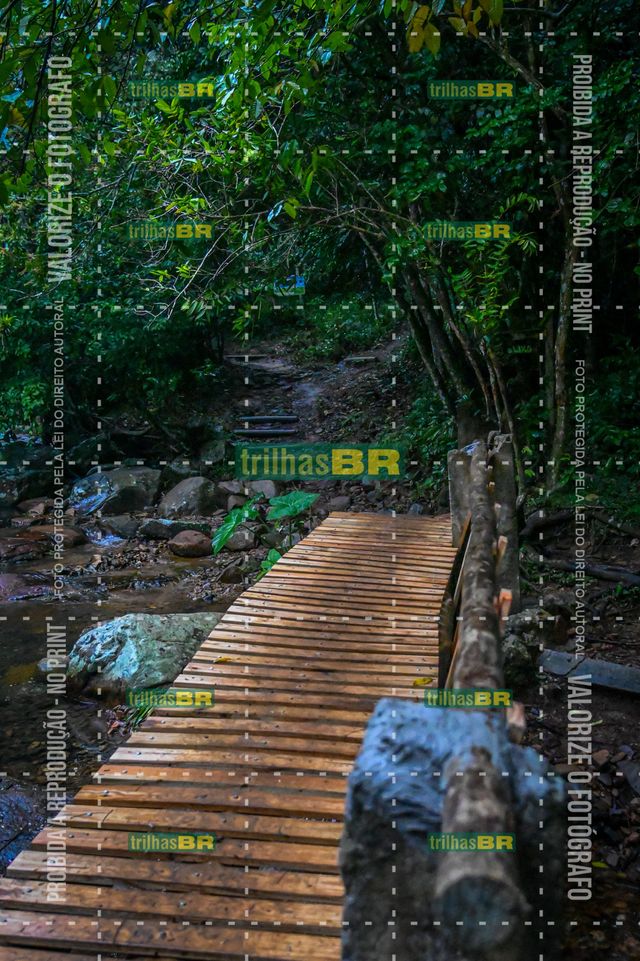 AMP_3927