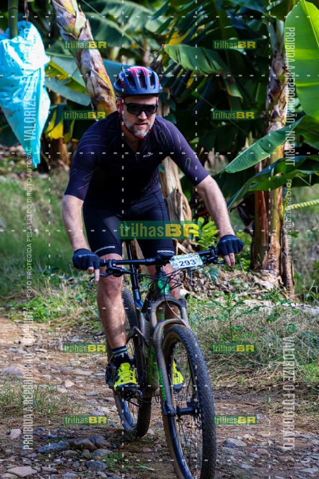 BANANA BIKE -59